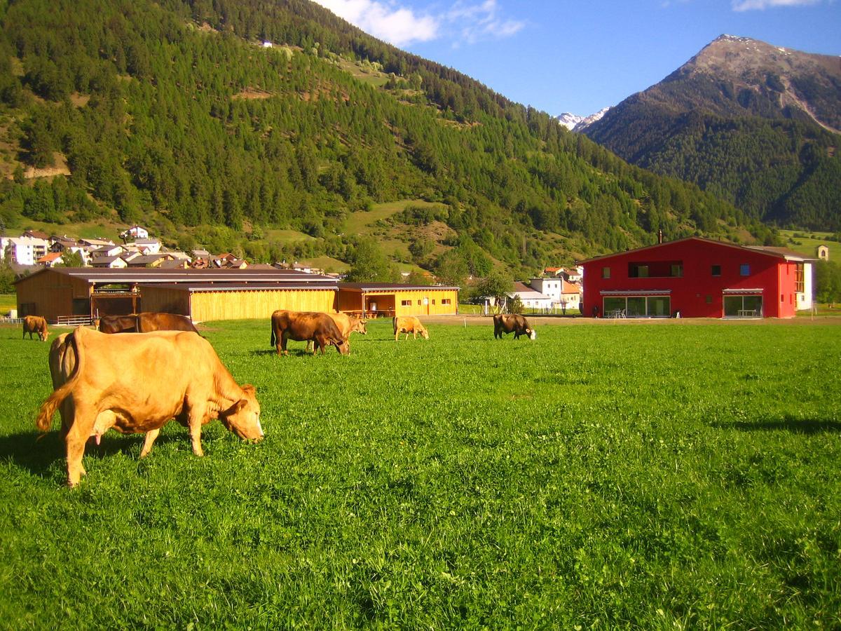 Apartamento Pauraria Puntetta Müstair Exterior foto